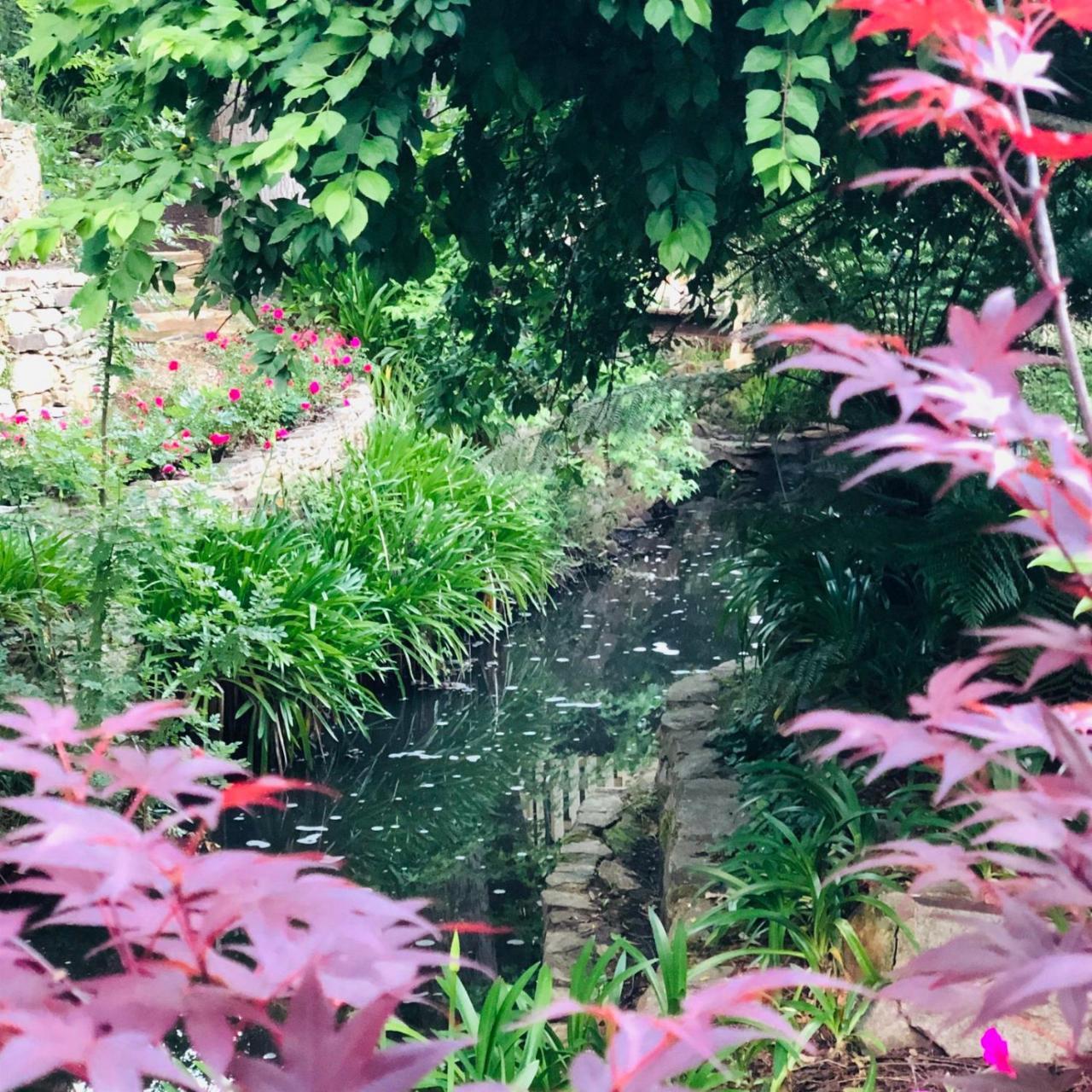 Aldgate Creek Cottage Bed And Breakfast 외부 사진