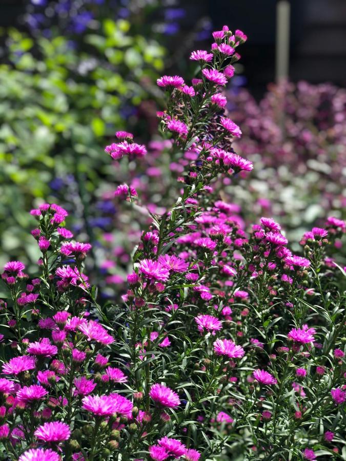 Aldgate Creek Cottage Bed And Breakfast 외부 사진
