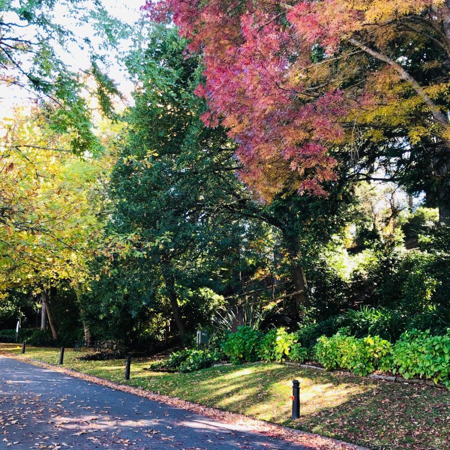 Aldgate Creek Cottage Bed And Breakfast 외부 사진