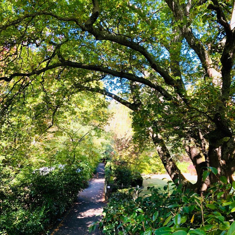 Aldgate Creek Cottage Bed And Breakfast 외부 사진