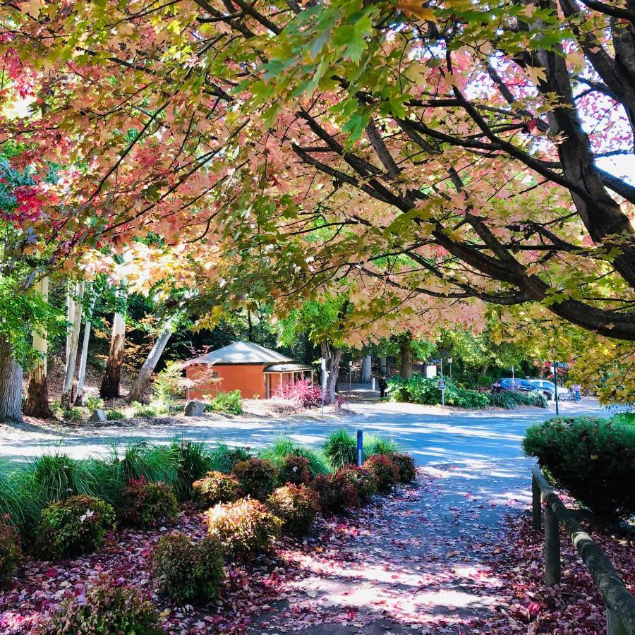 Aldgate Creek Cottage Bed And Breakfast 외부 사진